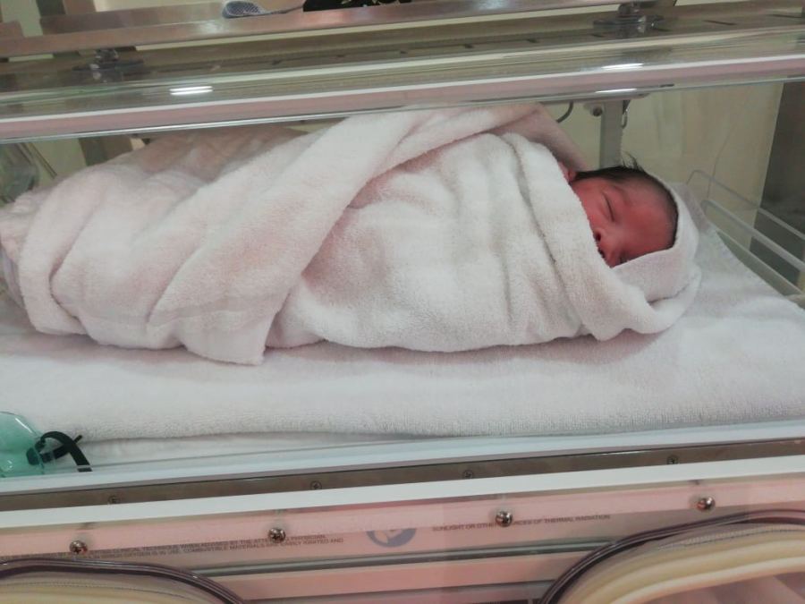 مبارك المولود سيف علاء محمد جرار