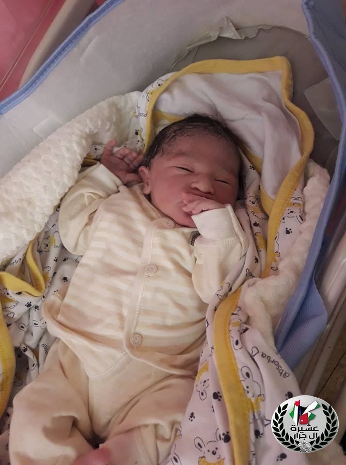 مبارك المولود تيم محمد زياد عبد الرازق جرار