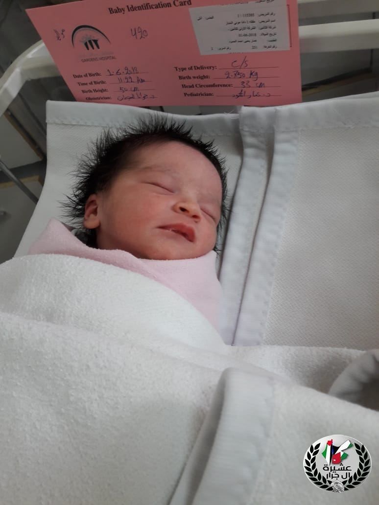 مبارك المولودة حلا علاء وائل خيري جرار