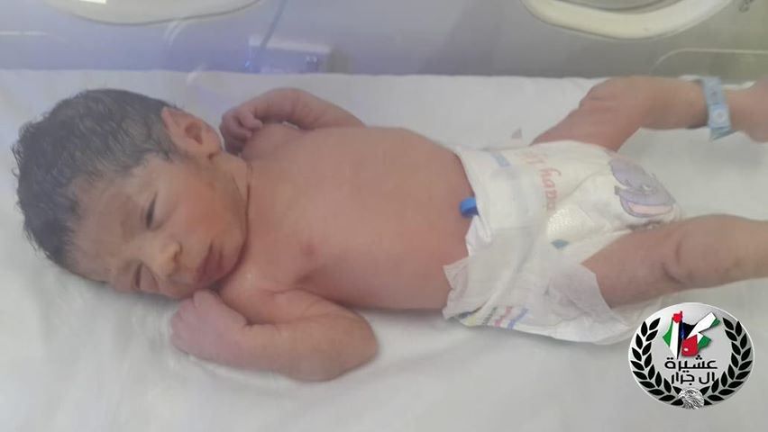 مبارك المولود يمان وسام لطفي جرار