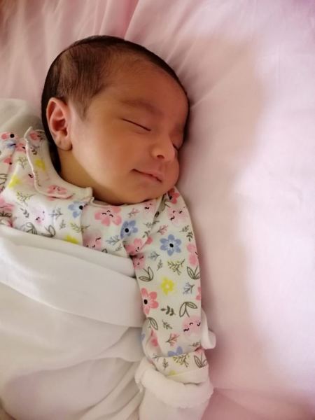 مبارك المولودة سلمى شكري مصطفى جرار